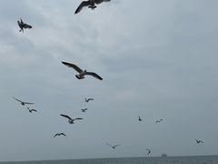 -海驴岛(荣成市)