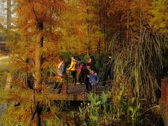 -重庆彩云湖湿地公园