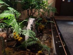 -鹤祥宫·影院足道·SPA连锁(苹果园店)
