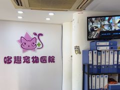 -哆趣宠物医院·眼科·内镜·急重症转诊中心(上海店)