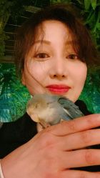 点击看大图 -神奇动物撸宠馆·羊驼·小浣熊·异宠(豫园店)