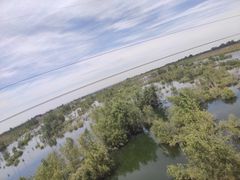 -黑河国家森林公园