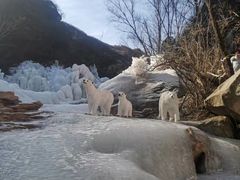 -黑龙潭风景区