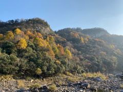 -燕子河大峡谷天坑仙境