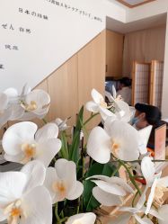 -宥莉·ULLY 痘敏肌•科技皮肤管理中心