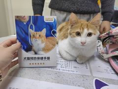 -德元·美联众合24小时动物医院(总院)