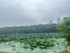 -月湖风景区