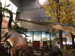 -湖南省地质博物馆