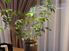 -泰合玺·精油疗愈SPA(狮山天街生活广场店)