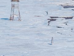 -秦皇岛秦皇国际大酒店