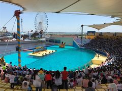 -秦皇岛乐岛海洋王国