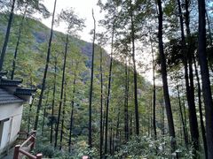 -藏龙百瀑风景区