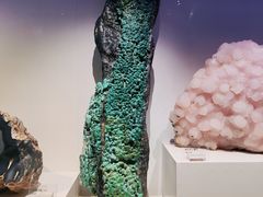 -重庆自然博物馆(新馆)