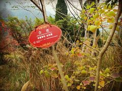 -黄公望隐居地