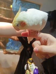 -Zoolung Zoolung动物主题公园(海信广场店)