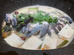 -鲜潭蒸汽石锅鱼(五道口购物中心店)