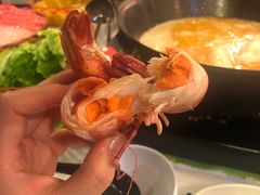 -鲜入围煮花胶鸡海鲜火锅