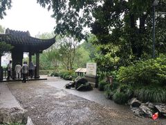 -西湖外事游船(花港观鱼码头)