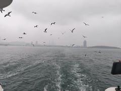 -青岛海滨风景区