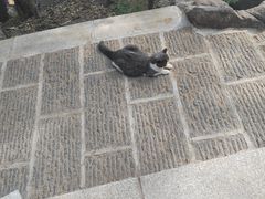 -宝通禅寺