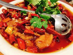 -京尊烤鸭店JINGZUN(春秀路店)