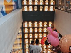 -line friends(明洞旗舰店)