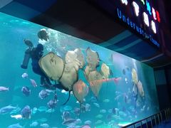 -泉城欧乐堡海洋极地世界