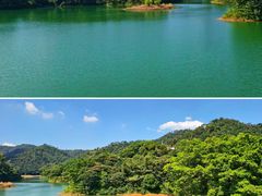 -佛山市三水区大南山森林公园