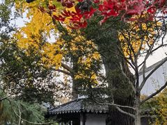 -新聚丰菜馆(太监弄店)