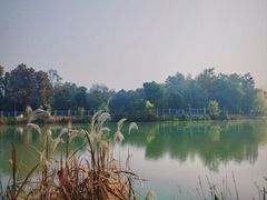 -东湖落雁景区