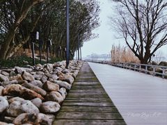 -上海吴淞炮台湾国家湿地公园