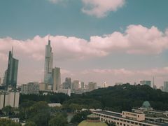 -紫峰大厦