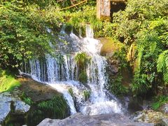 -龙苍沟森林公园