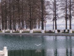 -东湖听涛景区
