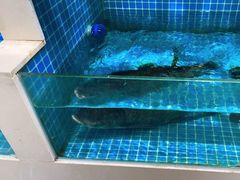 -元银甲·湖北地标美食(汉阳店)