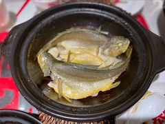 金榜黄花鱼-恭喜上堓砂锅焗·海鲜大排档(闵行龙湖店)