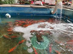 -李村大集