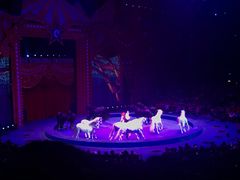 -珠海横琴长隆《卡卡虎奇遇记》