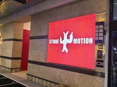 -Stone Motion释动健身