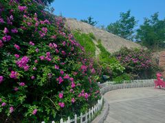 -金龙寺国家森林公园