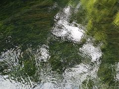 -西湖风景区-江洋畈生态公园