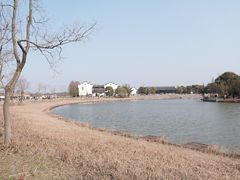 -宁波杭州湾国家湿地公园