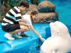 -海合安成都极地海洋公园