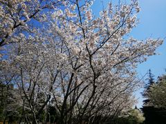 -白塘生态植物园