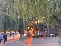 -长春市南湖公园