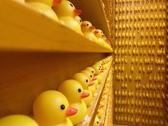 -深圳失恋博物馆再见前任(汇商名苑店)