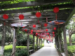 -白马涧龙池景区