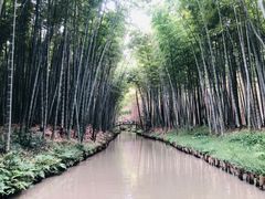 -同里国家湿地公园
