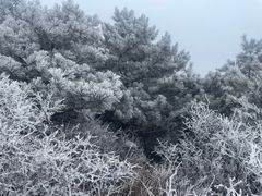 -妙峰山风景名胜区