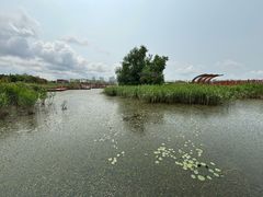 -芒洲湿地公园